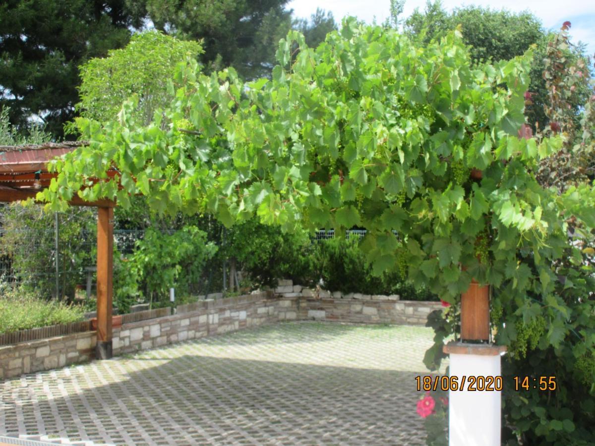 B&B Capo Le Vigne Sirolo Dış mekan fotoğraf