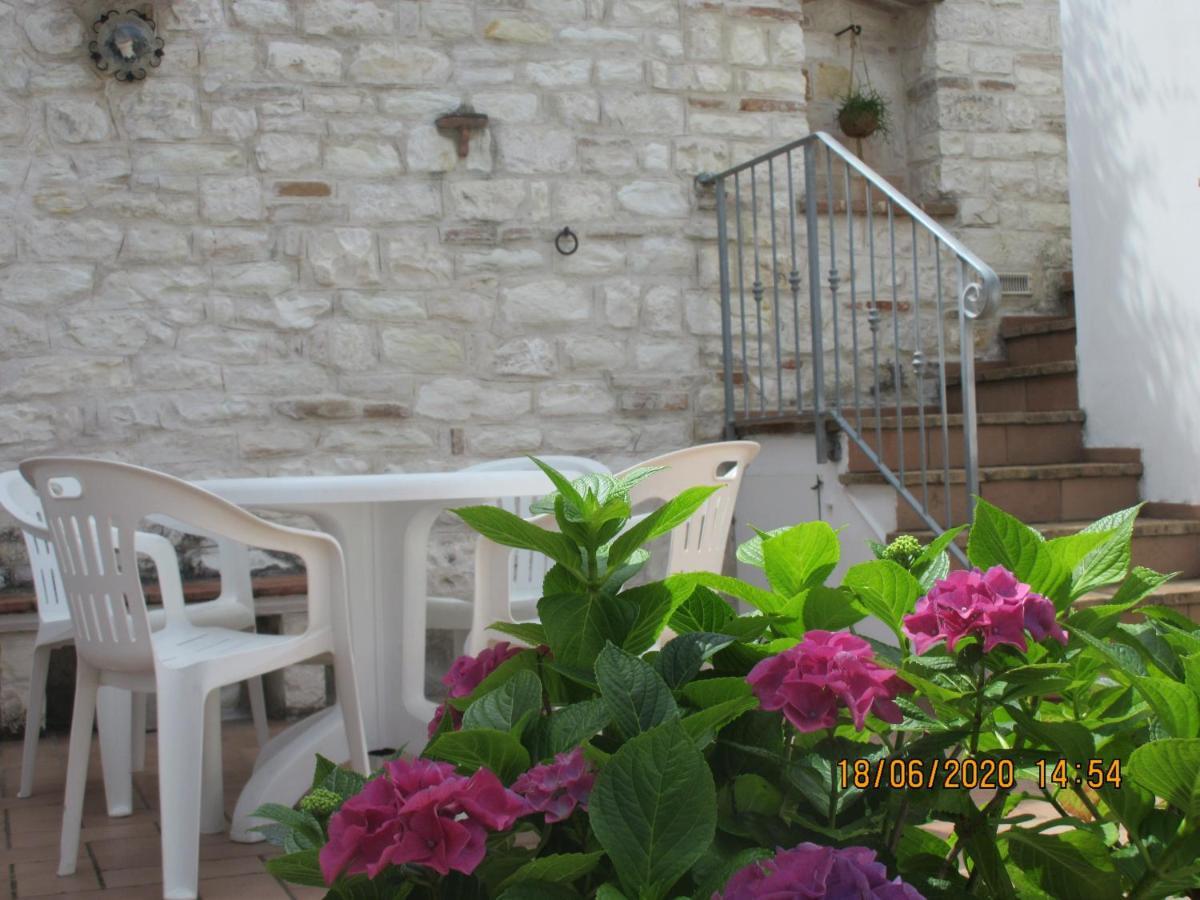 B&B Capo Le Vigne Sirolo Dış mekan fotoğraf